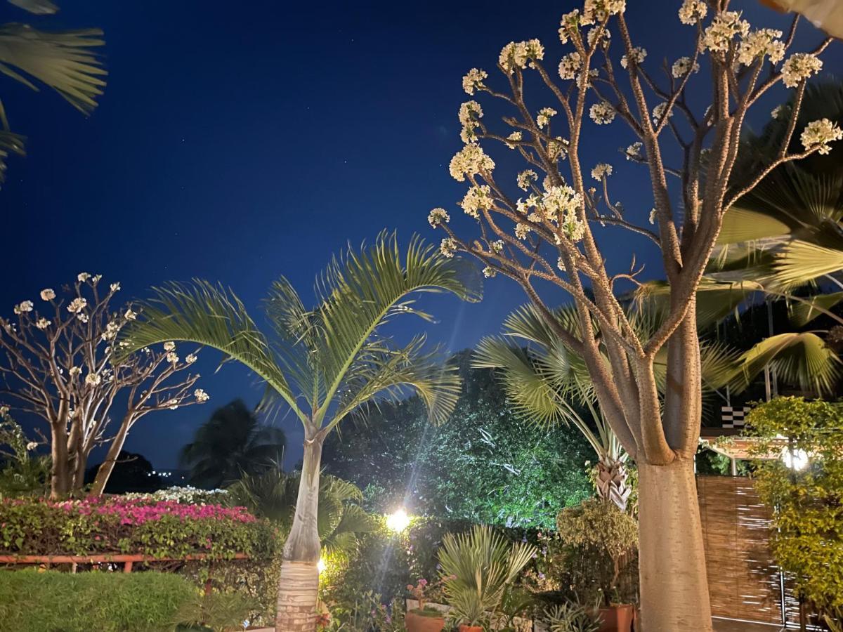 Le Jardin Exotique Hotel Antsiranana Kültér fotó