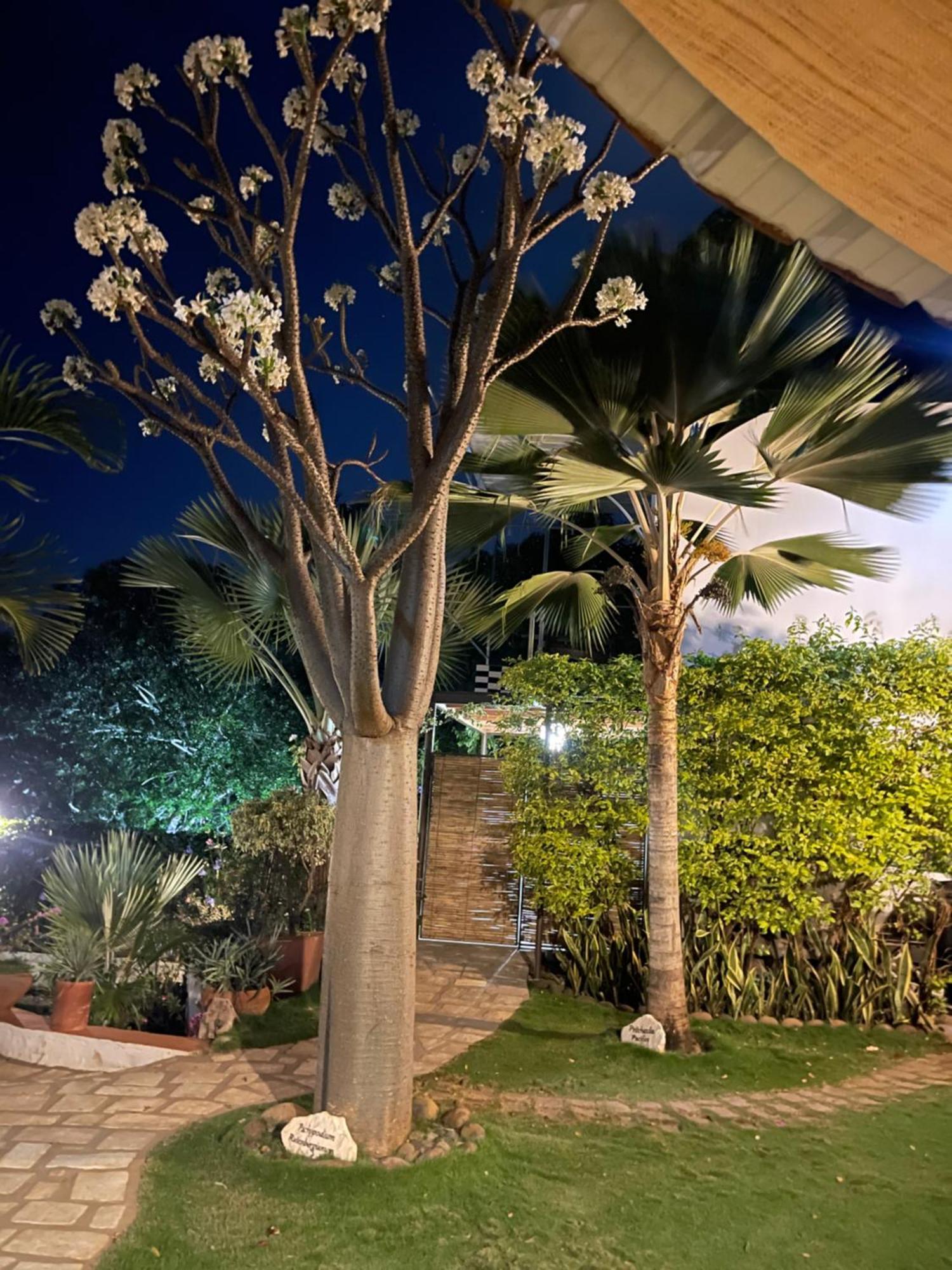 Le Jardin Exotique Hotel Antsiranana Kültér fotó