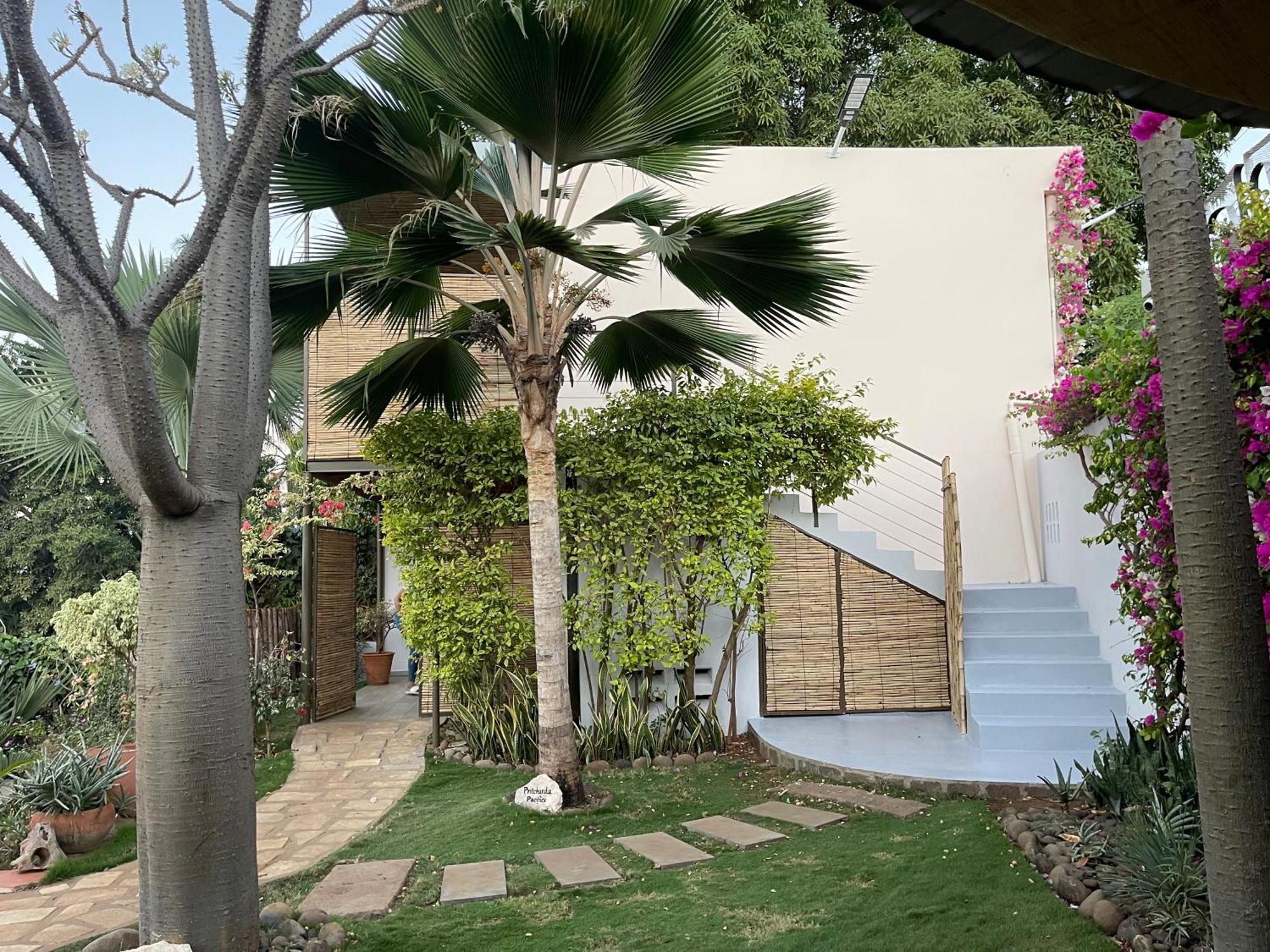 Le Jardin Exotique Hotel Antsiranana Kültér fotó