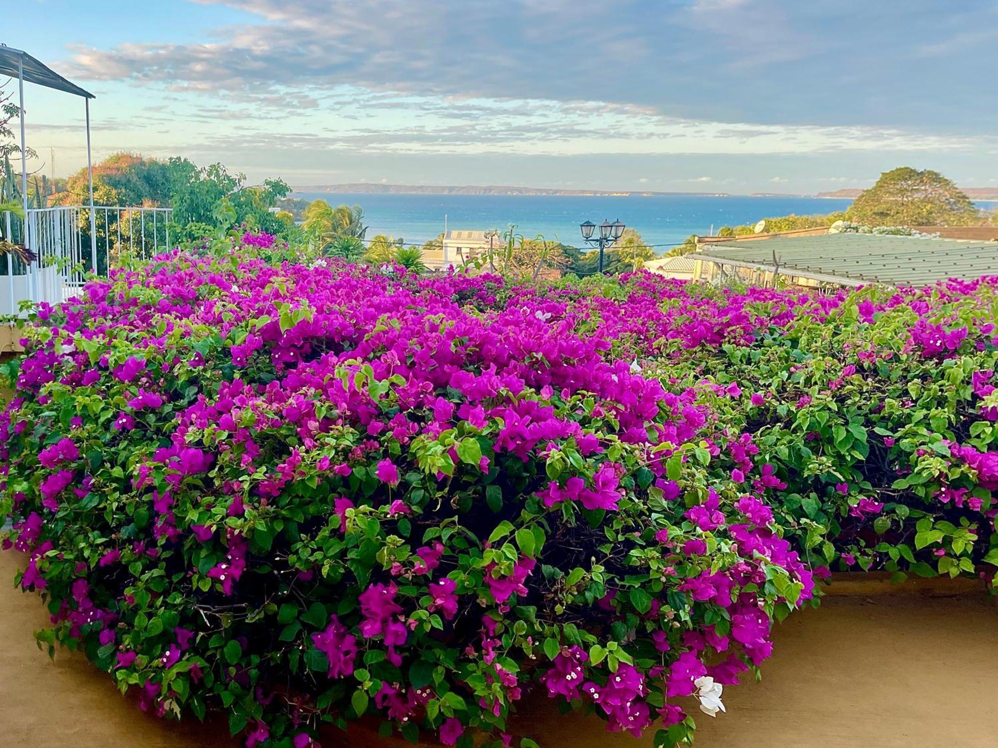 Le Jardin Exotique Hotel Antsiranana Kültér fotó