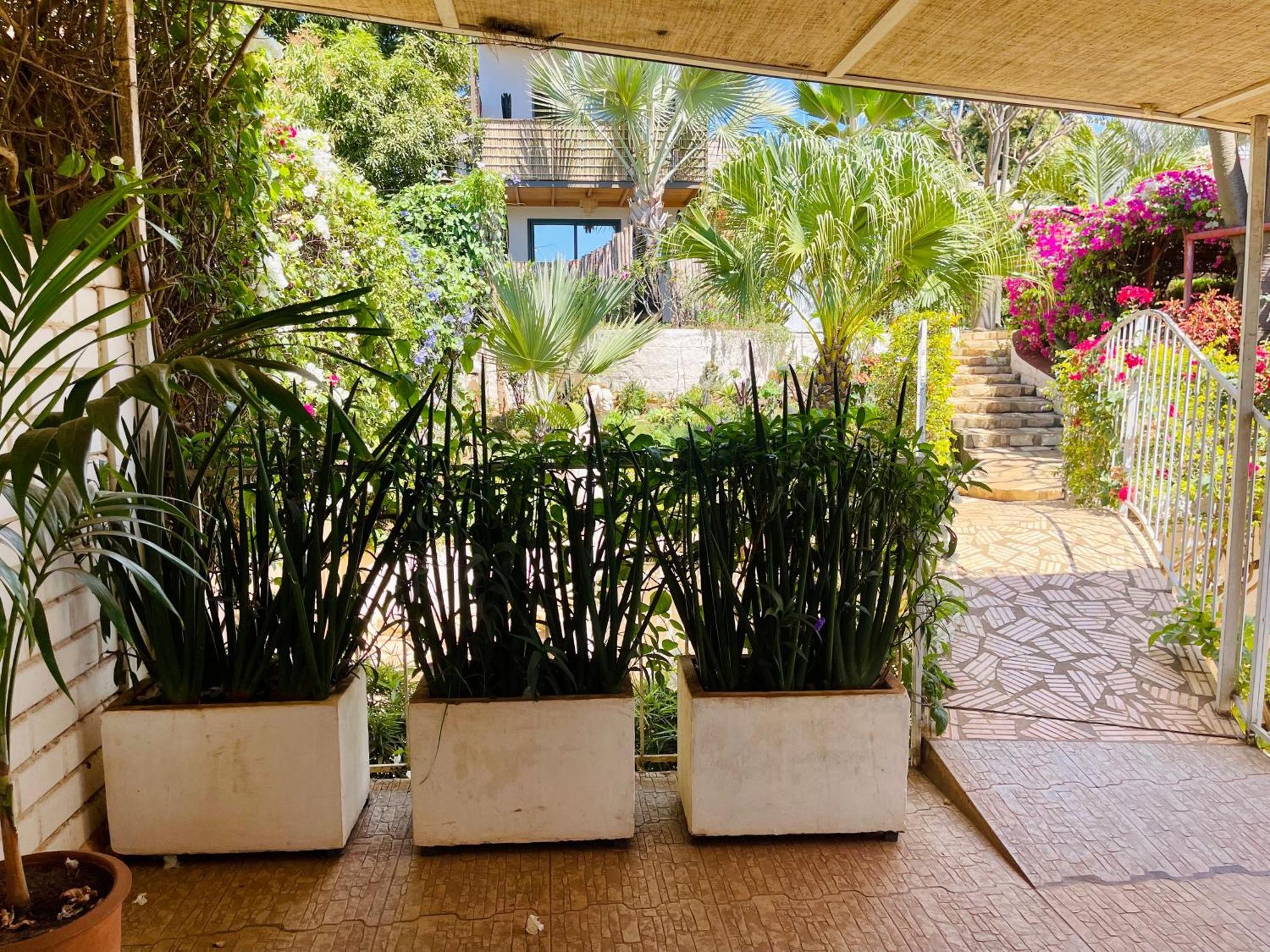 Le Jardin Exotique Hotel Antsiranana Kültér fotó