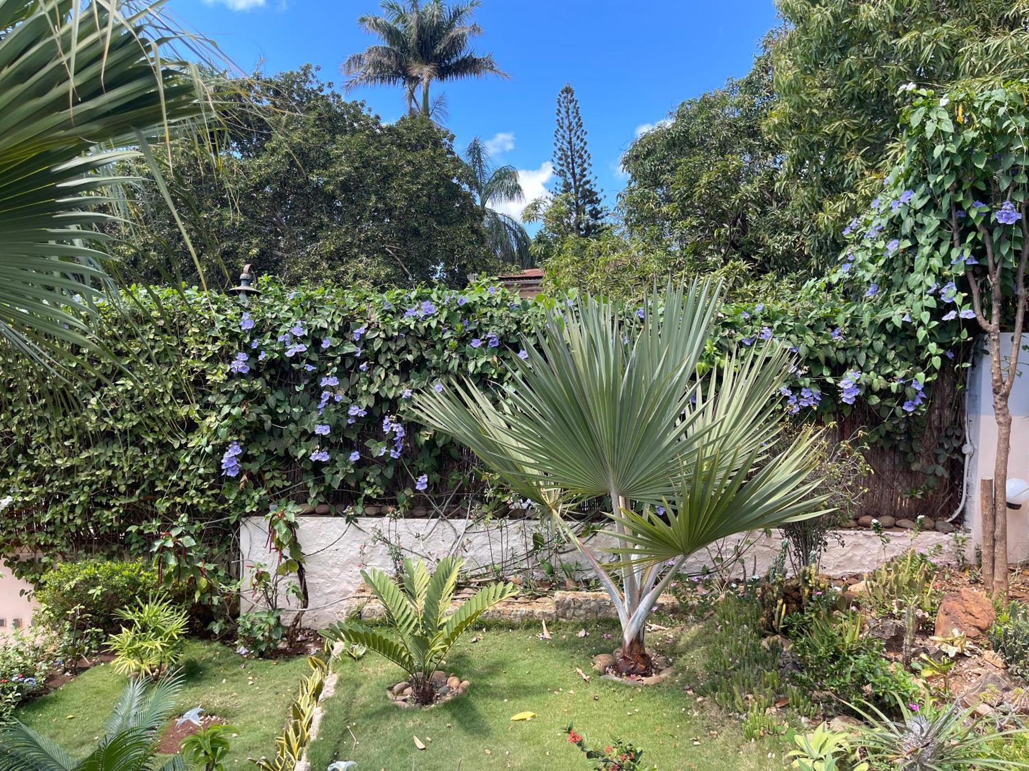 Le Jardin Exotique Hotel Antsiranana Kültér fotó