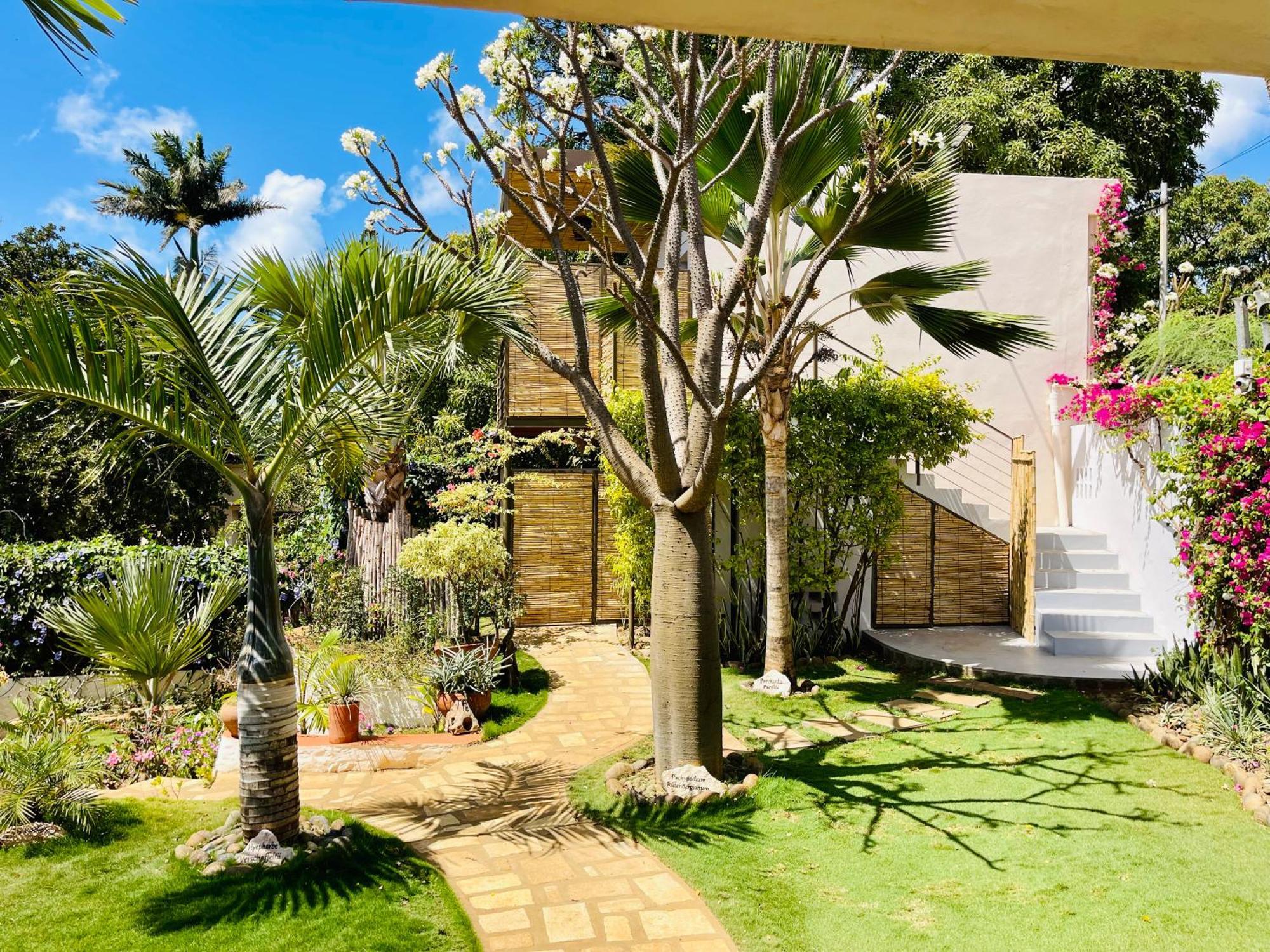 Le Jardin Exotique Hotel Antsiranana Kültér fotó