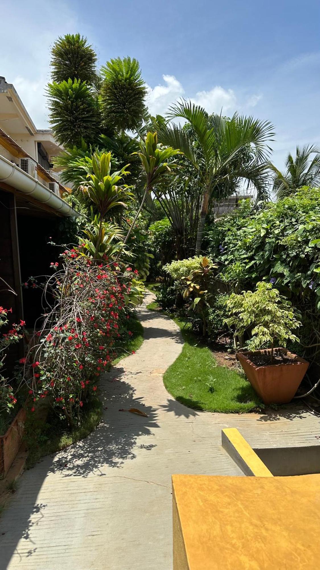 Le Jardin Exotique Hotel Antsiranana Kültér fotó